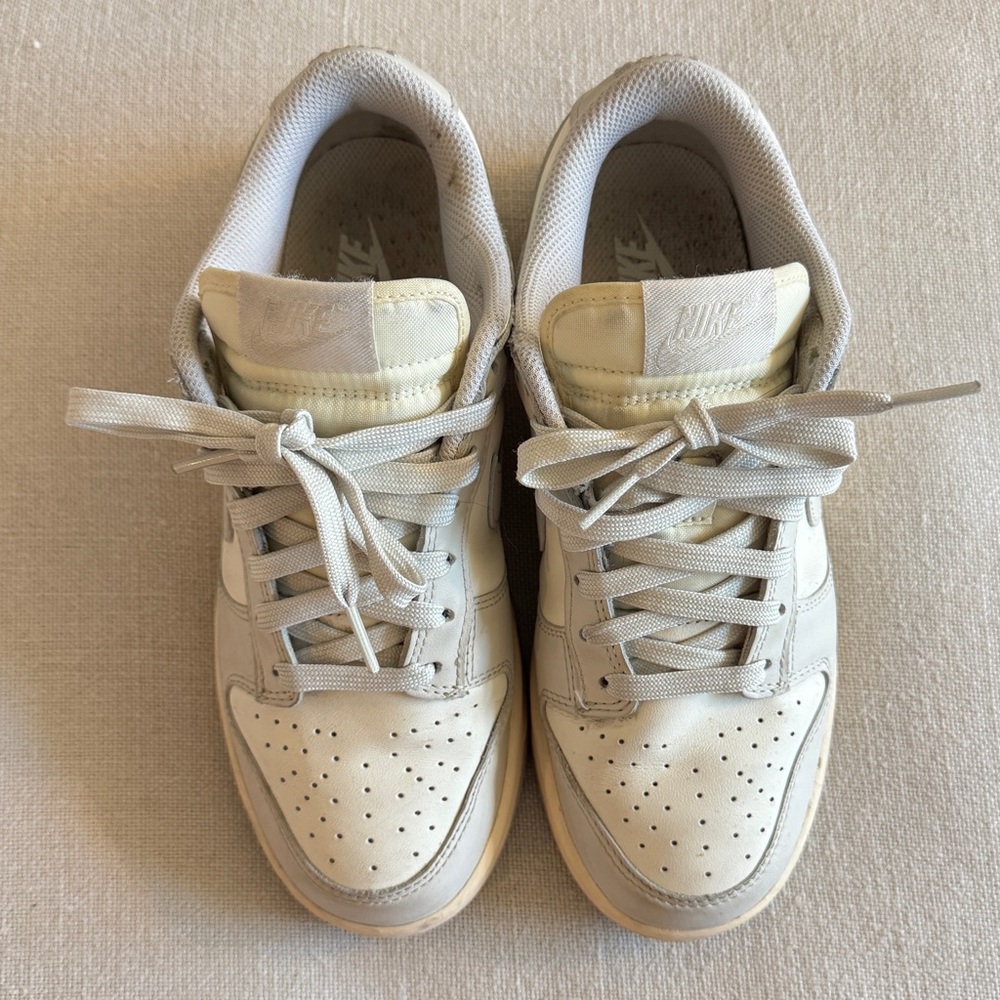 Nike dunk sneakers